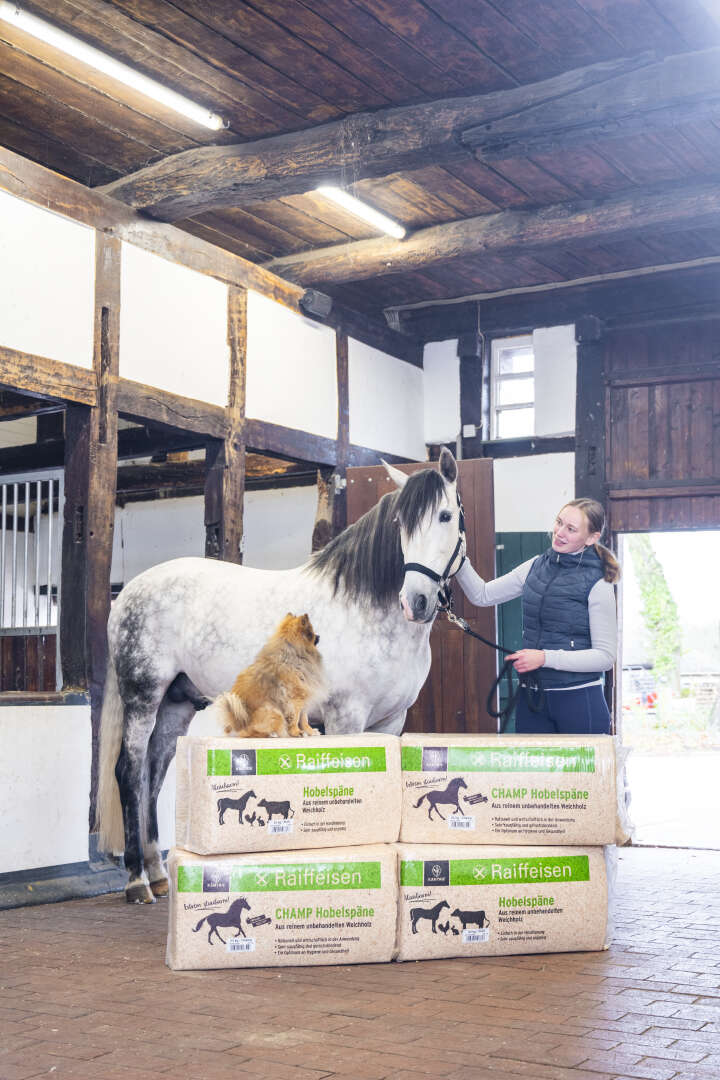 KANTRIE Hobelspäne Profi